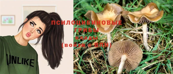 молекула духа Верхнеуральск